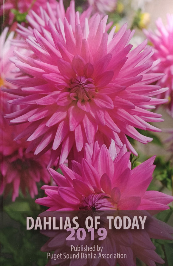 Dahlias of Today 2019
