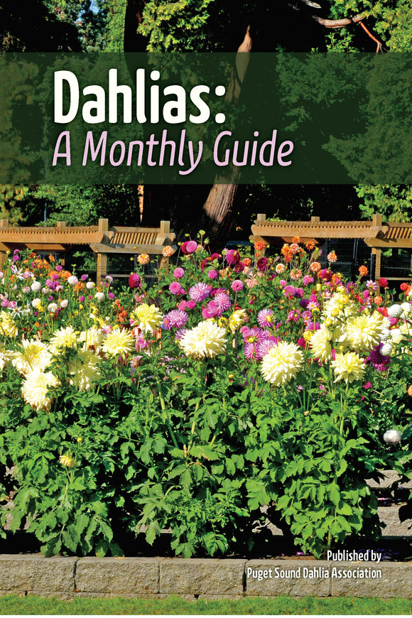#1 Best Seller - Dahlias: A Monthly Guide