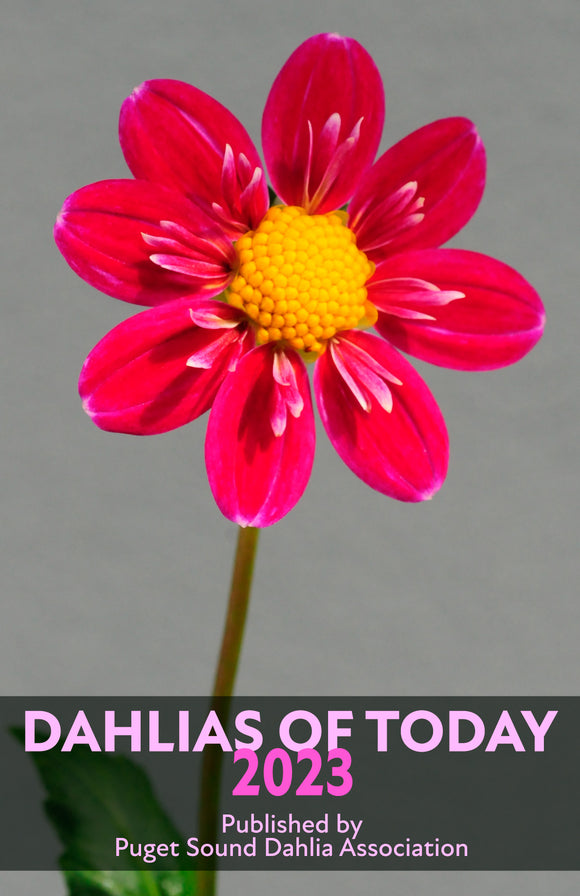 Dahlias of Today 2023